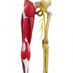 Kindle Store Disability eBooks for Stroke Recovery-0